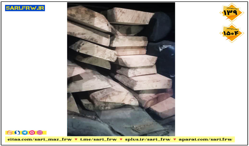 کشف و ضبط چوب آلات قاچاق جنگلی در شهرستان نکا