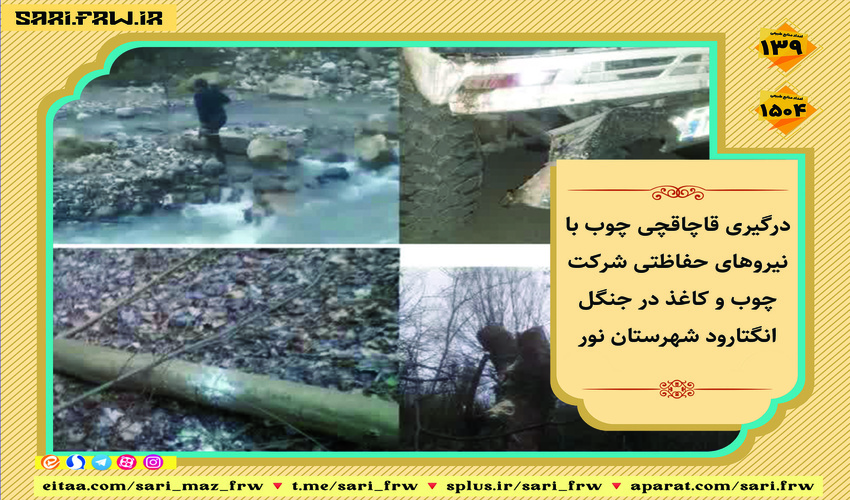 درگیری قاچاقچی درخت با نیروهای حفاظتی در جنگل انگتارود شهرستان نور 