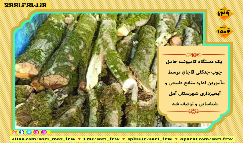  توقیف کامیونت حامل چوب جنگلی قاچاق در آمل 