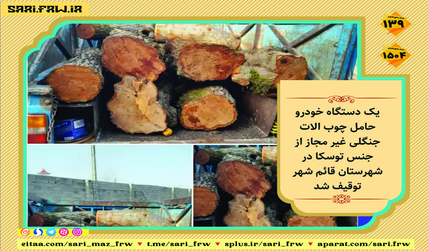 کشف و ضبط چوب آلات قاچاق جنگلی در شهرستان قائمشهر