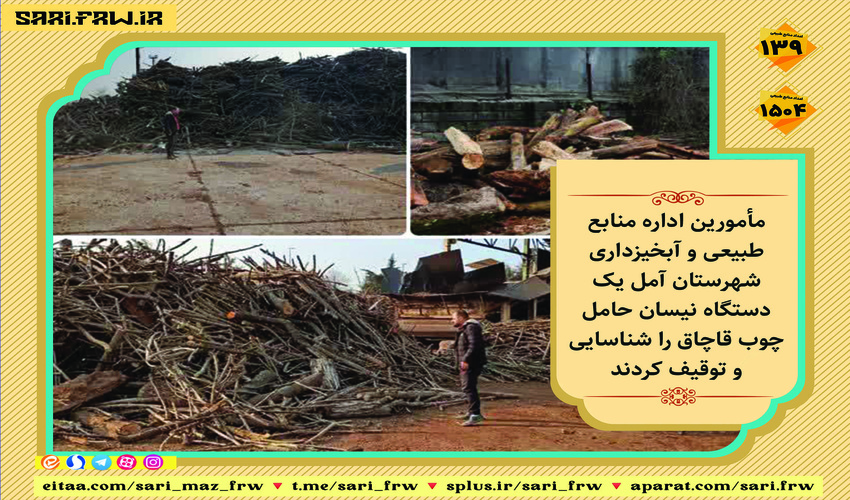 کشف چوب قاچاق در آمل 