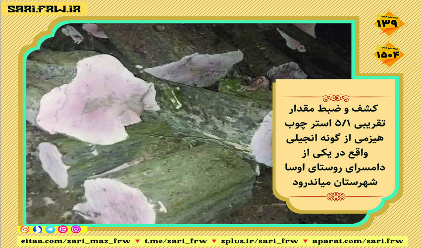 کشف و ضبط چوب جنگلی قاچاق در شهرستان میاندورود