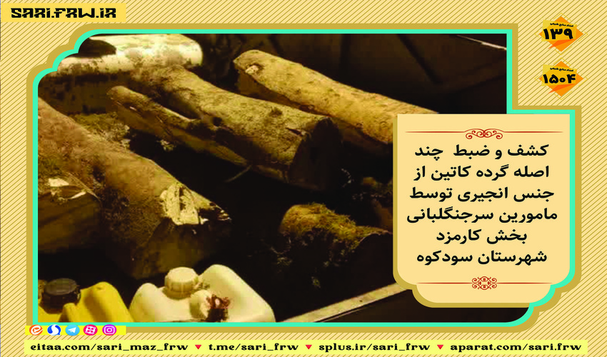 کشف و ضبط چوب آلات قاچاق جنگلی در شهرستان سوادکوه