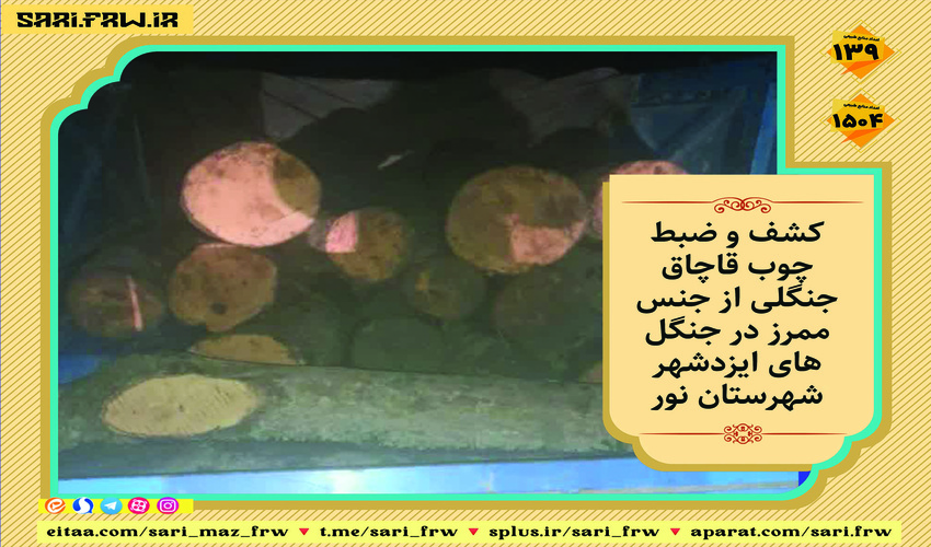 کشف و ضبط چوب آلات قاچاق جنگلی در شهرستان نور