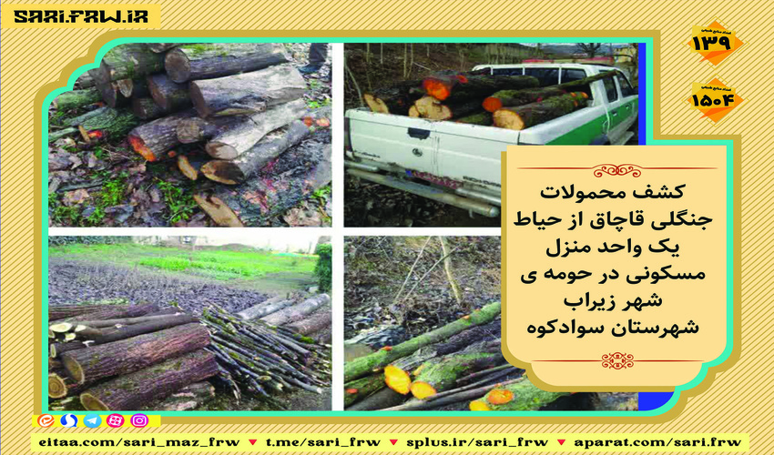 کشف و ضبط چوب آلات قاچاق جنگلی در شهرستان سوادکوه