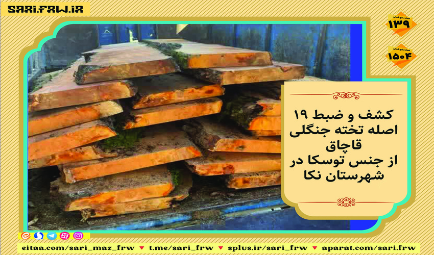 کشف و ضبط چوب آلات قاچاق جنگلی در شهرستان نکا
