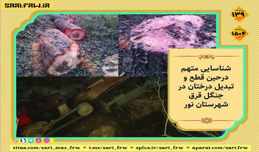 شناسایی متخلف درحین قطع و تبدیل درختان در شهرستان نور 