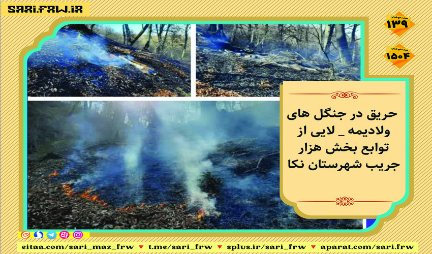 حریق در جنگل های بخش هزار جریب شهرستان نکا