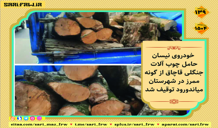 کشف و ضبط چوب قاچاق در شهرستان میاندورود