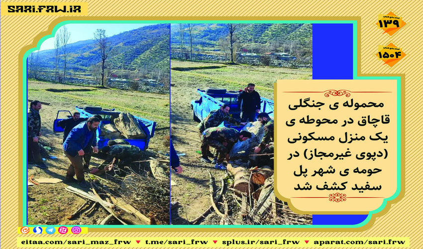 کشف و ضبط چوب آلات قاچاق جنگلی در شهرستان سوادکوه