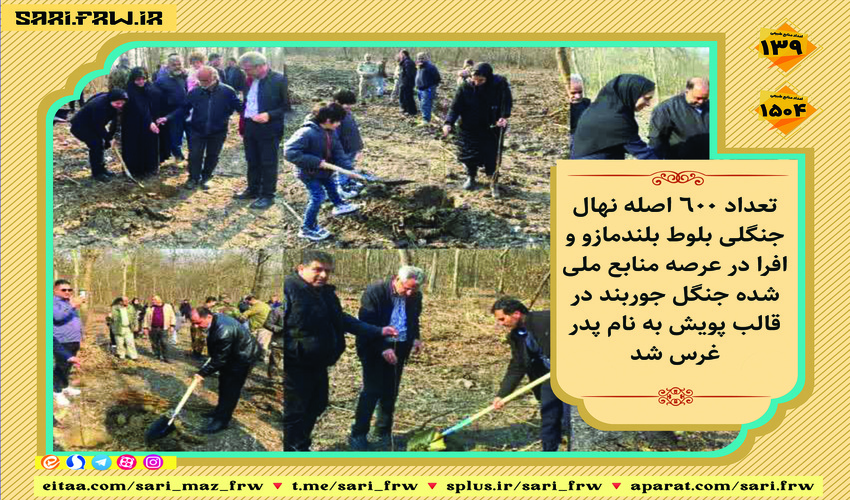 برگزاری پویش کاشت نهال به مناسبت روز پدر در شهرستان نور 