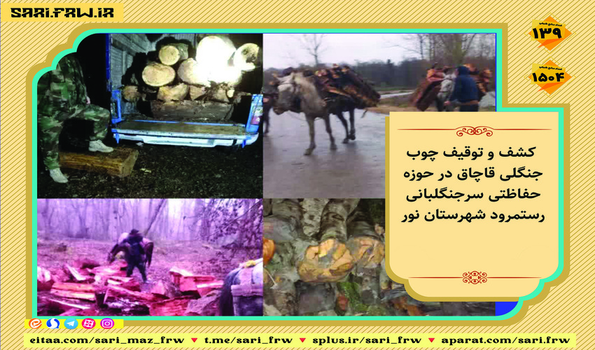  کشف و ضبط چوب قاچاق جنگلی در شهرستان نور 