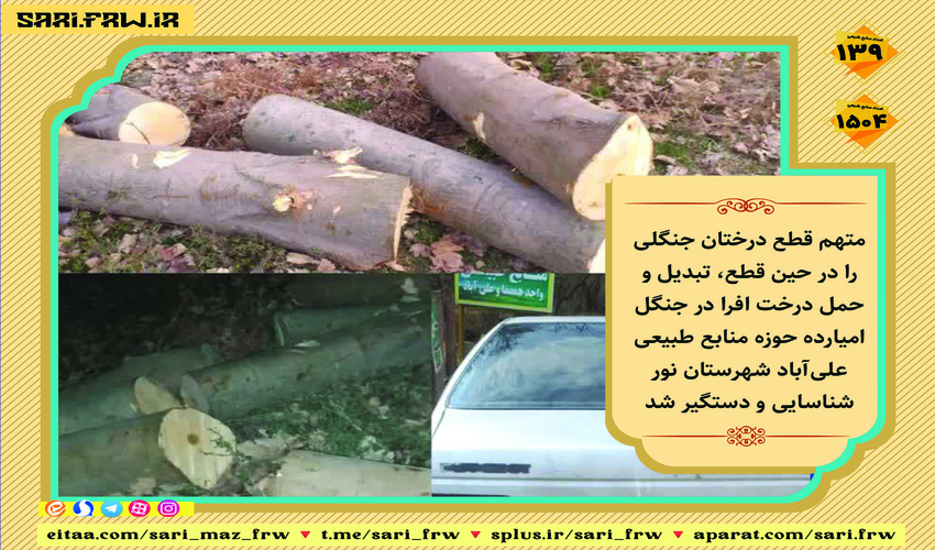 کشف و ضبط چوب آلات قاچاق جنگلی در شهرستان نور