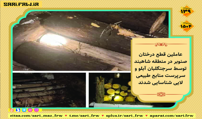  شناسایی عاملین قطع درختان صنوبر در منطقه شاهبند 