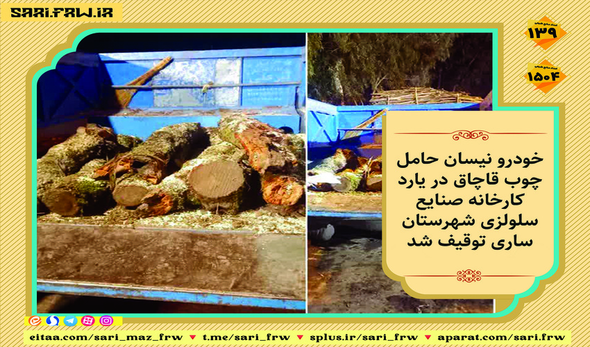 توقیف خودروی حامل چوب قاچاق در ساری