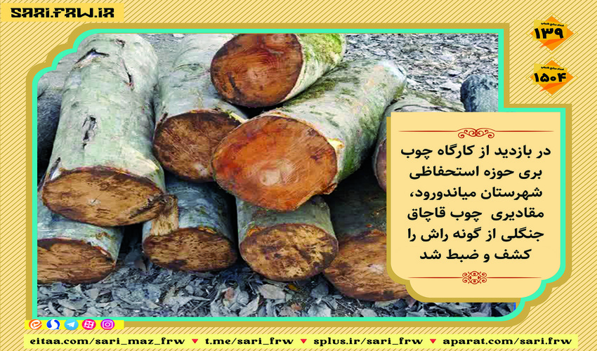 کشف و ضبط چوب قاچاق جنگلی در شهرستان میاندورود