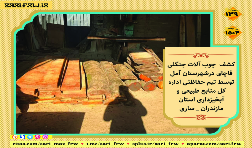 کشف و ضبط چوب آلات قاچاق جنگلی در شهرستان آمل