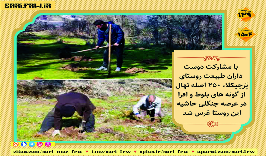نهالکاری در روستای پَرچیکلا شهرستان ساری انجام شد