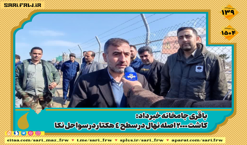 دستگیری یکی از سرکرده های قاچاق چوب در شهرستان نور 