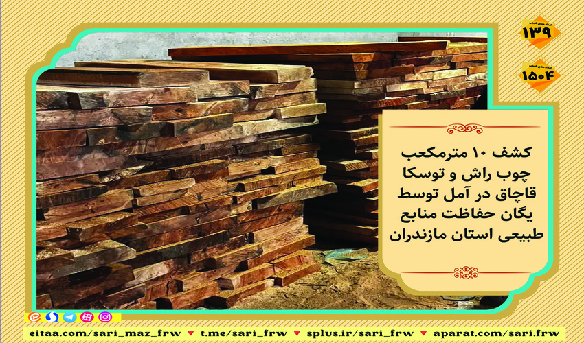 کشف ۱۰ مترمکعب چوب راش و توسکا قاچاق در آمل