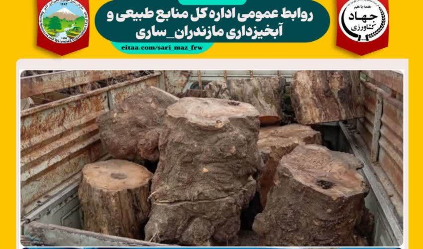 کشف و ضبط چوب جنگلی قاچاق در منطقه بابلکنار شهرستان بابل