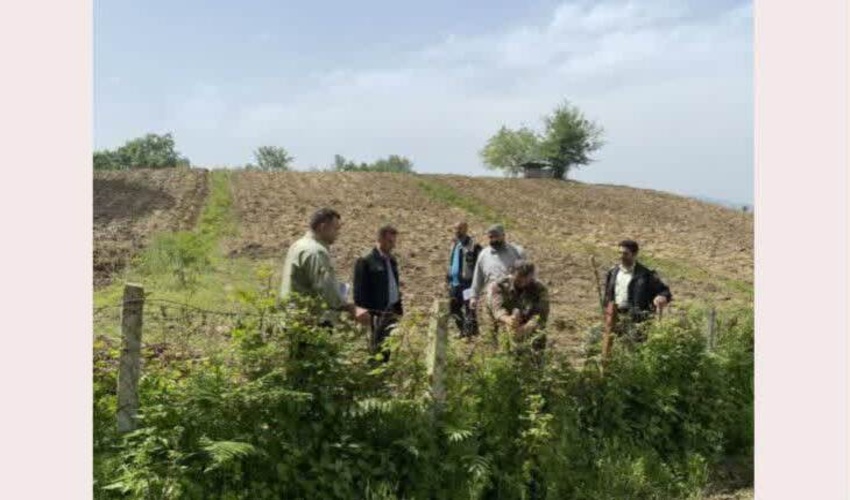 اجرای حکم قضایی و آزادسازی اراضی ملی از ید متصرفین  در روستای خرم چماز نکا