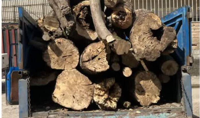 کشف و ضبط چوب آلات جنگلی قاچاق در حوزه استحفاظی سنگتراشان ساری