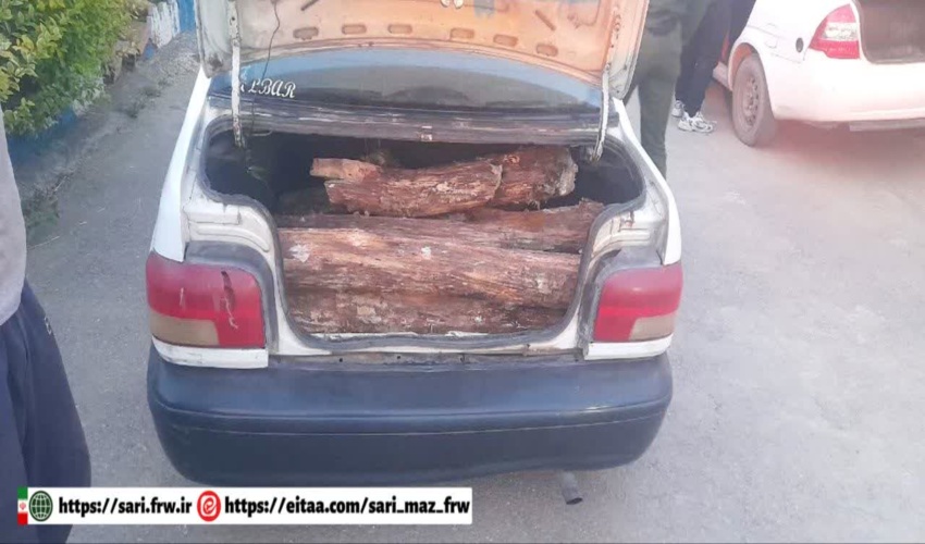 توقیف خودرو پراید حامل چوب قاچاق در ساری