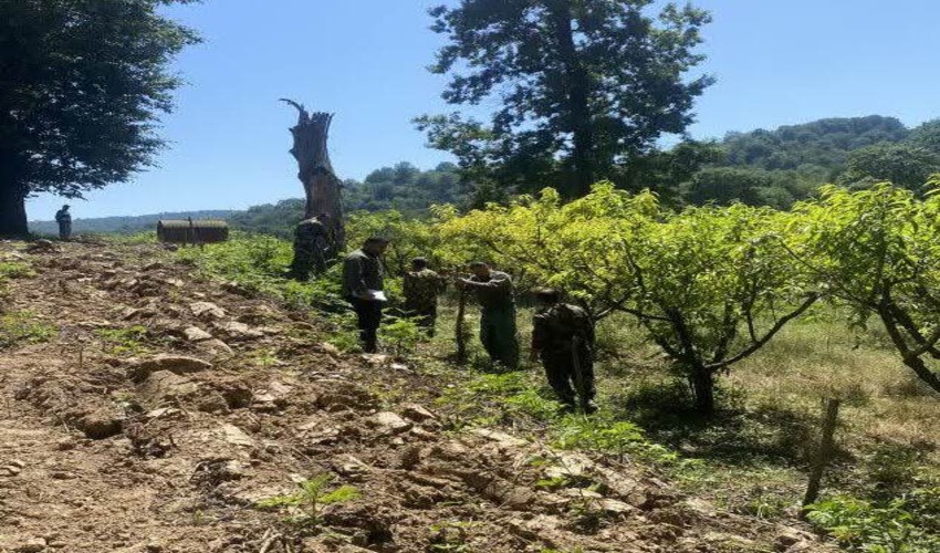 آزادسازی اراضی ملی از ید متصرف در روستای کوهسارکنده نکا