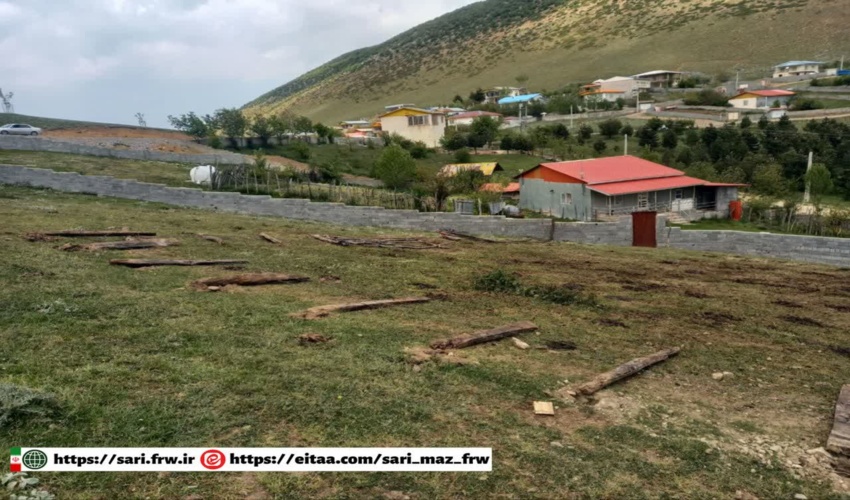 جمع‌آوری بنه دامی غیرمجاز در سری حفاظتی توران‌کلا آمل
