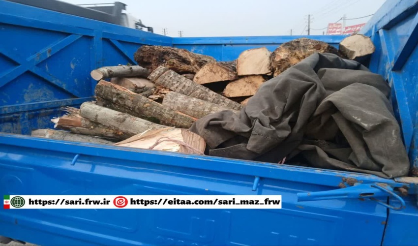 خودروی نیسان با محموله چوب قاچاق ممرز در محور چمستان به آمل توقیف شد