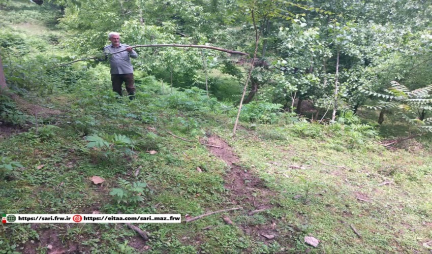 رفع تصرف ۱۰۰۰ مترمربع از اراضی ملی واقع در روستای ادملا منطقه بندپی شرقی شهرستان بابل