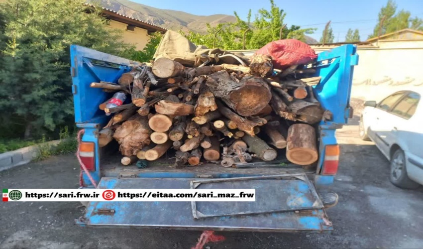 کشف ۲ استر چوب قاچاق در بخش بلده شهرستان نور
