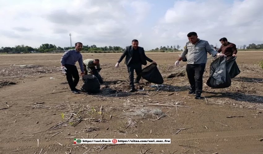 پاکسازی سواحل گهرباران شهرستان میاندورود