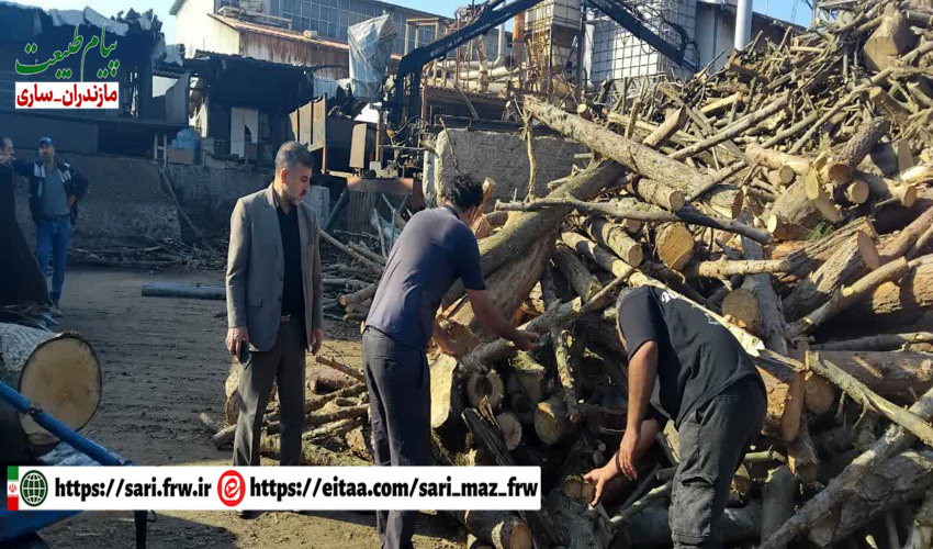 ضرب‌شست منابع طبیعی مازندران به قاچاقچیان چوب در نکا