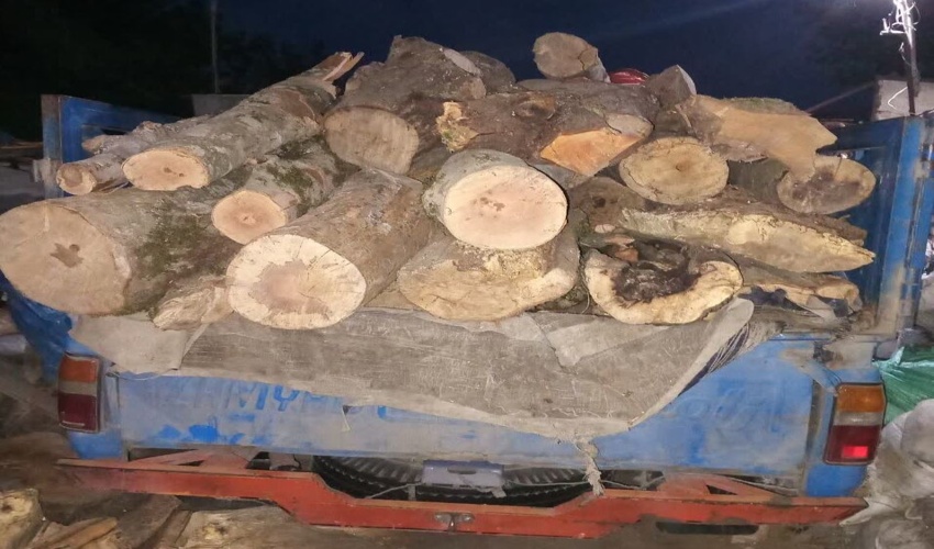 تداوم طرح ضربتی مبارزه با قاچاق چوب آلات جنگلی در بهشهر