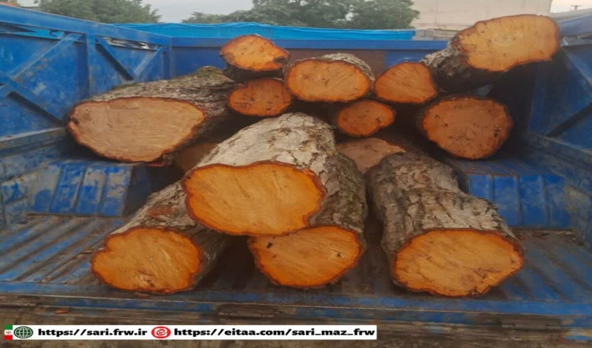 توقیف خودروی نیسان حامل یک تن چوب‌آلات جنگلی از گونه توسکا در مسیر چمستان به آمل