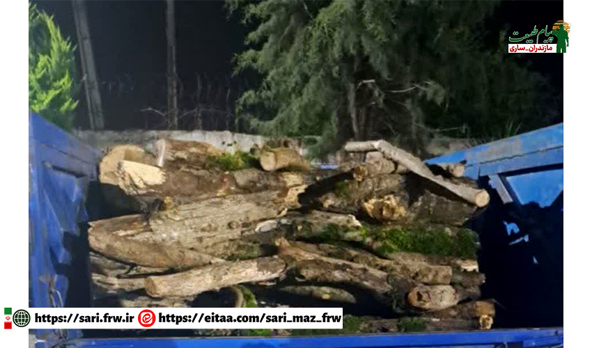 کشف و ضبط محموله چوب قاچاق ممرز در محور چمستان به آمل