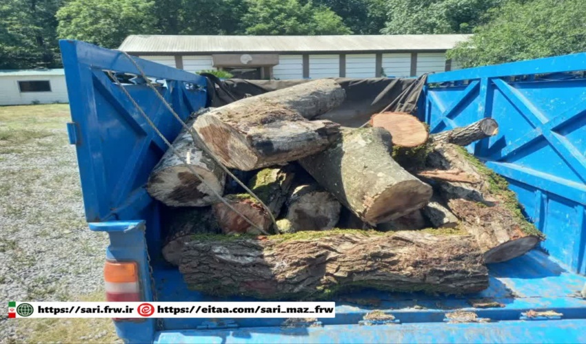 کشف و ضبط چوب‌آلات قاچاق از گونه توسکا و ممرز در جنگل ایزدشهر