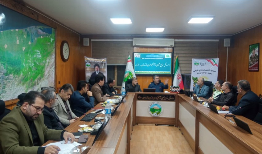 حضور بابایی کارنامی و مدیرکل منابع طبیعی استان در جلسه پیگیری و تعیین تکلیف وضعیت عقد قرارداد مجریان شرکت های حفاظتی