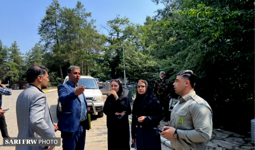 بازدید میدانی و تخصصی از طرح پارک جنگلی شهید نوبخت با هدف توسعه پایدار فضای سبز