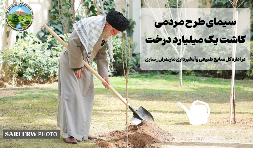 گزارش عملکرد طرح مردمی کاشت یک میلیارد درخت در اداره کل منابع طبیعی و آبخیزداری مازندران_ساری