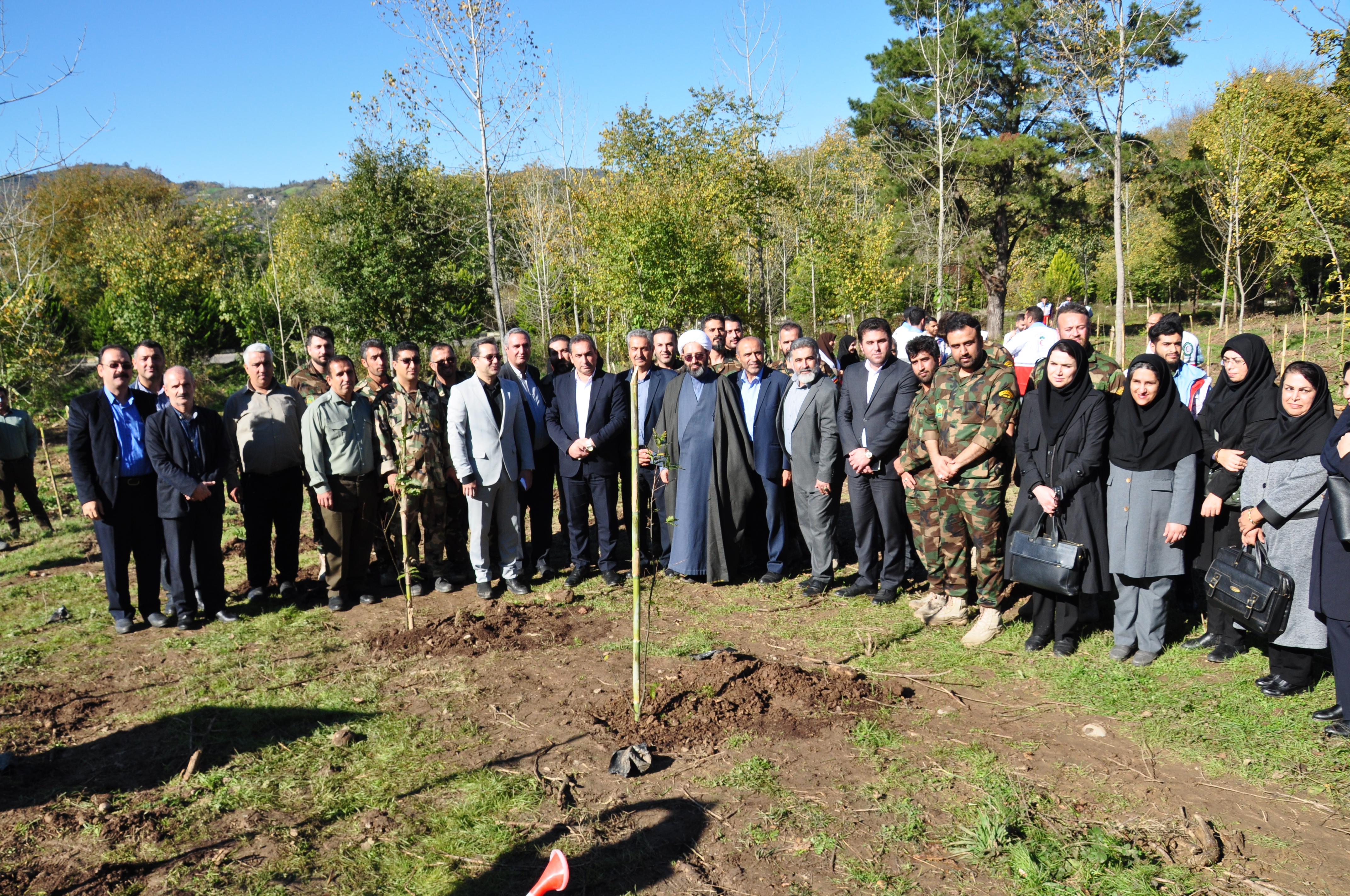 آغاز رسمی مرحله کاشت نهال در راستای طرح مردمی کاشت یک میلیارد درخت همزمان با سراسر کشور